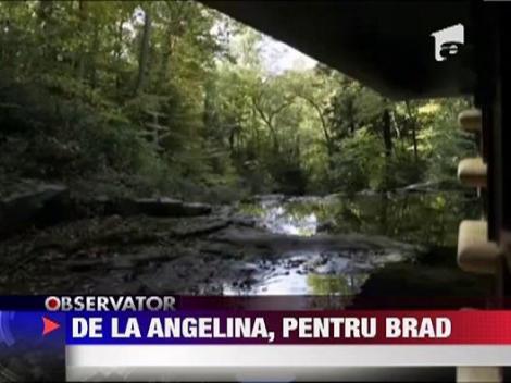 Angelina Jolie i-a daruit o cascada lui Brad Pitt‎
