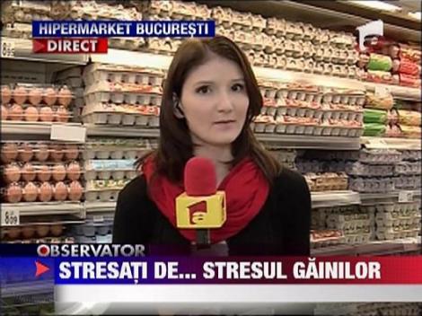 Ouale de gaini stresate, interzise in Romania ‎