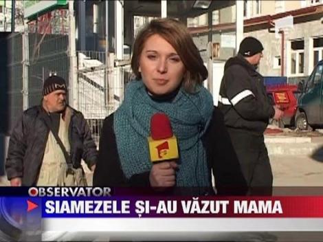 Siamezele nascute la Pitesti si-au vazut pentru prima data mama