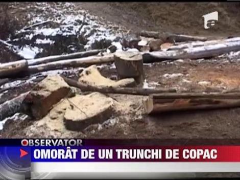 A murit strivit de trunchiul unui copac