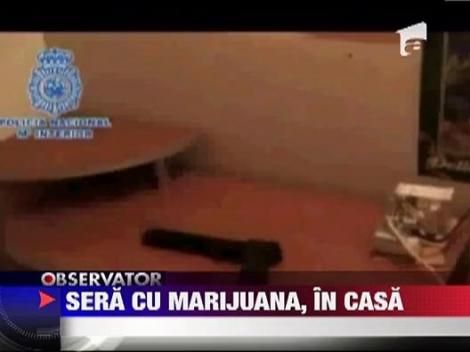 Sera de marijuana in apartament