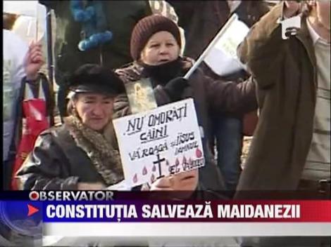 UPDATE / Maidanezii, salvati de la moarte