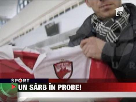 Sarb in probe la Dinamo