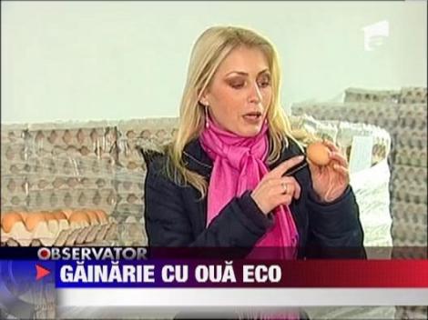 Oua de categoria a 3-a, vandute drept oua ecologice