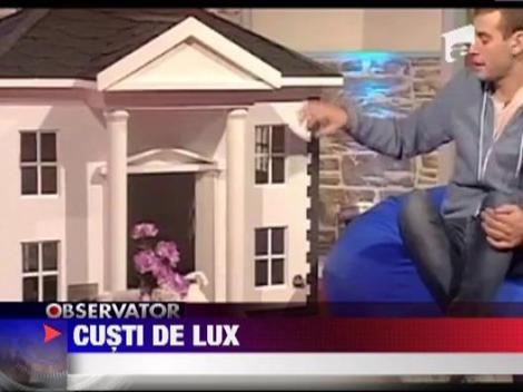 Custi de lux pentru caini