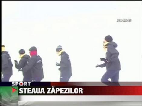 Steaua zapezilor