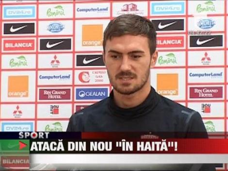 Cainele-sef, Borcea, a coborat in iarba