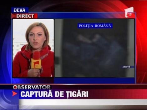 Traficanti de tigari arestati in Alba