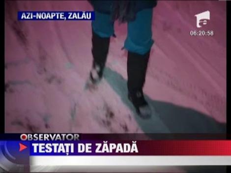 Ninsoarea a paralizat aseara traficul prin Zalau