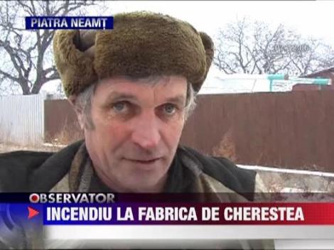 Incendiu puternic la o fabrica de cherestea din Piatra Neamt