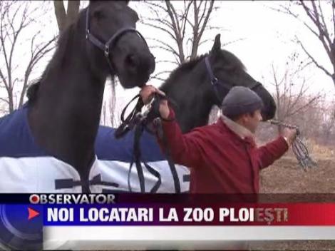 Gradina Zoologica din Bucov are locatari noi
