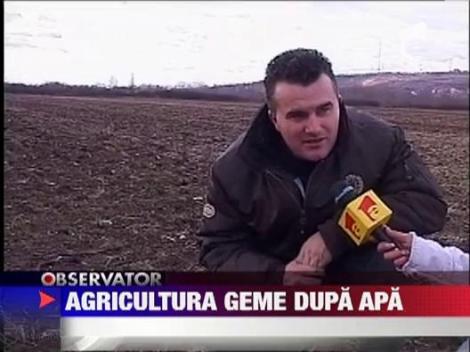 Seceta si temperaturile ridicate compromit culturile de toamna