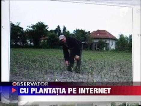 Internetul este indispensabil pentru dezvoltarea unei afaceri