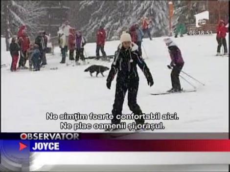 Oamenii s-au ingramadit pe partii