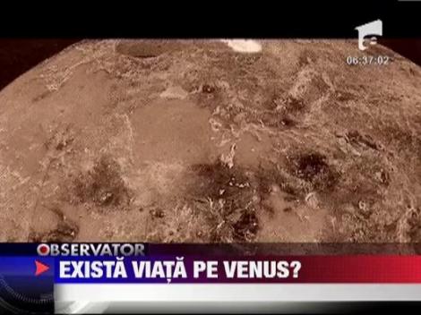 Viata pe Venus