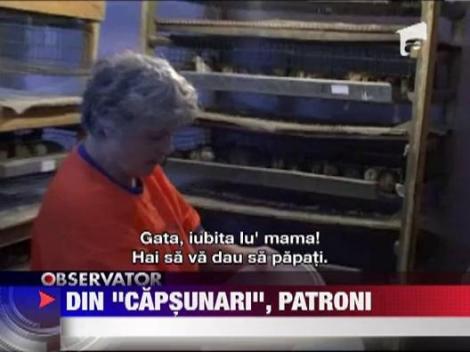 Sute de romani si-au pus pe roate mici afaceri cu bani munciti peste hotare