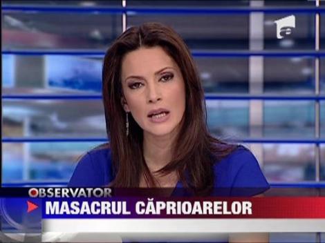 Masacrul caprioarelor din judetul Arad continua