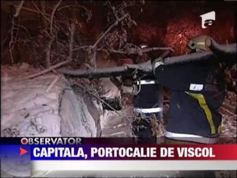 Cod portocaliu de ninsoare si viscol, in Capitala