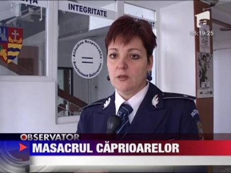 Agricultorii din Arad au decimat populatia de caprioare