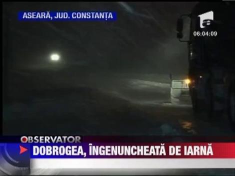 Viscolul a facut prapad si in Dobrogea