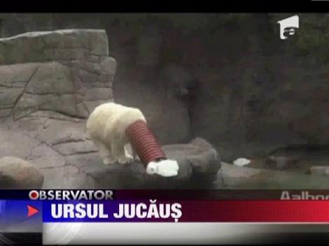 Vedeta gradinii zoologice din Danemarca