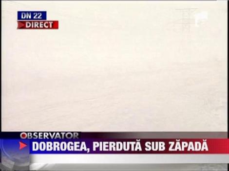 Cod galben de viscol in Constanta si Tulcea