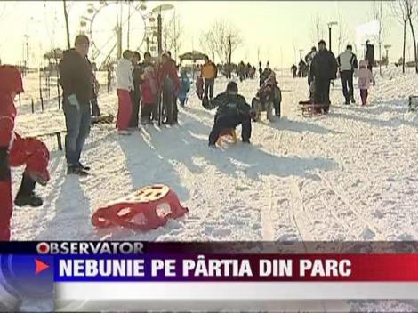 Nebunie pe partia din parc