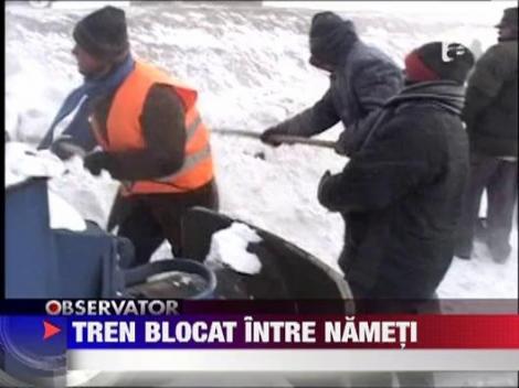 Tren blocat intre nameti