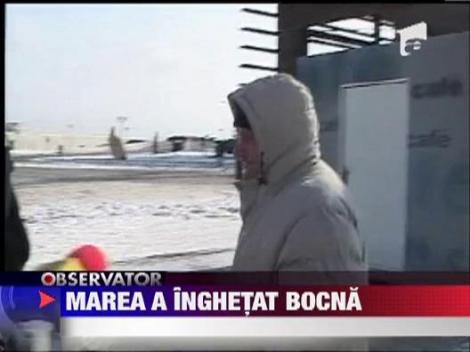 Ger extrem la malul marii