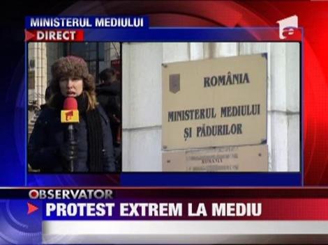 Protest extrem la sediul Ministerului Mediului