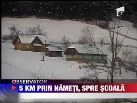 5 km prin nameti ca sa invete