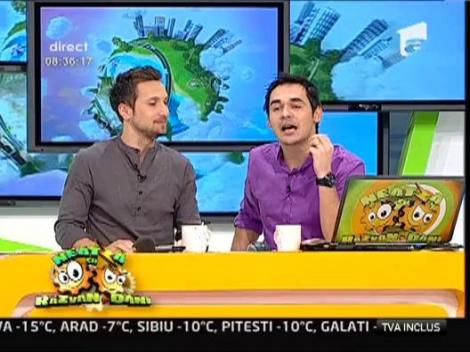 Frig de crapa pietrele