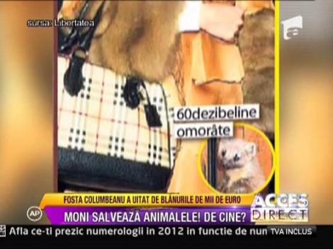 Monica Gabor militeaza pentru protectia animalelor