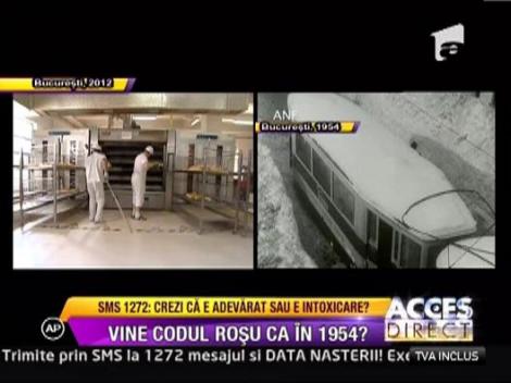 Ministrul de interne a transmis ca vom avea o iarna la fel de grea ca in 1954