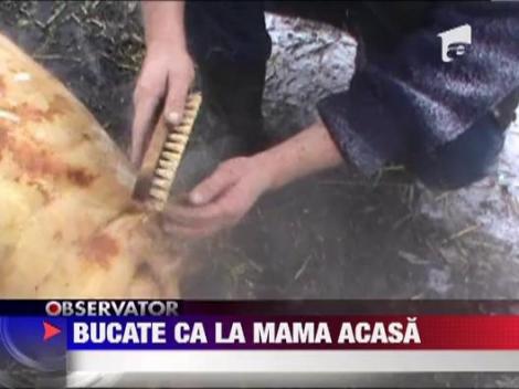 Festivalul de taiat porci organizat la Turulung