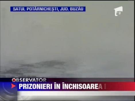 UPDATE / Blocati intre nameti