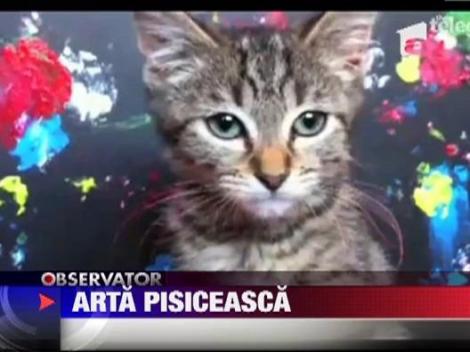 Pisicile care picteaza