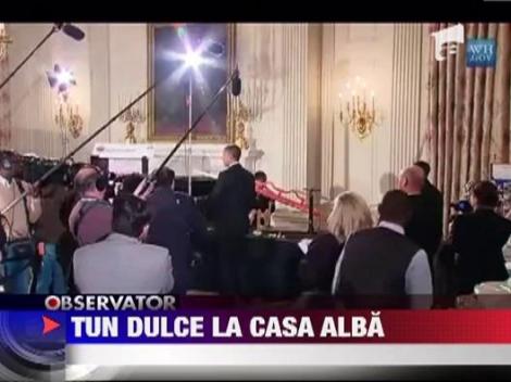 Tun dulce la Casa Alba