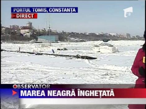 Marea Neagra inghetata la tarm