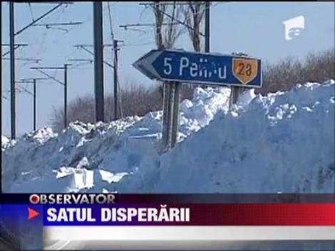 Sat acoperit complet de zapada