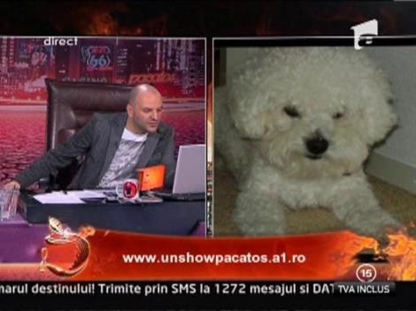 Andreea Tonciu, in pragul disperarii