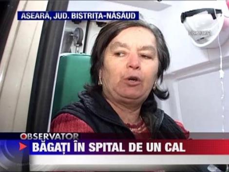 Bistrita Nasaud: Grav accident de circulatie provocat de un cal