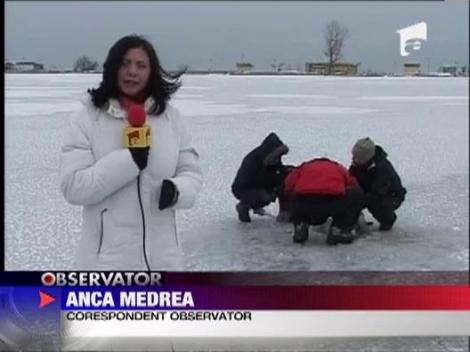 Zeci de pasari moarte de frig si foame pe litoral