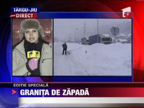 Viscolul puternic a ridicat o bariera la granita dintre Romania si Serbia