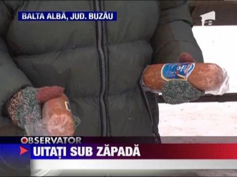 Oameni din judetul Buzau se lupta cu zapada uitati in frig si in bezna!