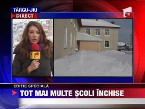 Scolile se inchid maine in Capitala