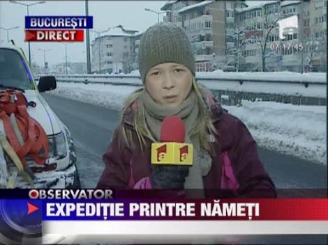 Expeditie printre nameti