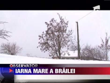 Insula Mare a Brailei este complet izolata!
