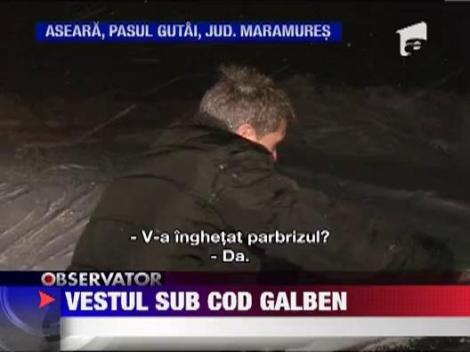 Cod galben de ninsori si viscol in sudul Romaniei!