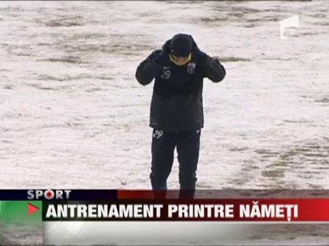 Antrenament printre nameti